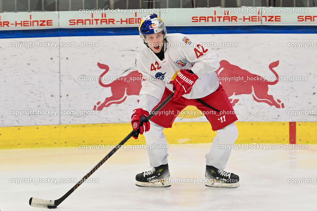 RED BULL HOCKEY JUNIORS vs. EK DIE ZELLER EISBÄREN | #42 Lanzinger Florian RED BULL HOCKEY JUNIORS, RED BULL HOCKEY JUNIORS vs. EK DIE ZELLER EISBÄREN, RED BULL HOCKEY JUNIORS vs. EK DIE ZELLER EISBÄREN am 14.01.2025 in Salzburg (Eisarena Salzburg), Austria, (Photo by Bernd Stefan)