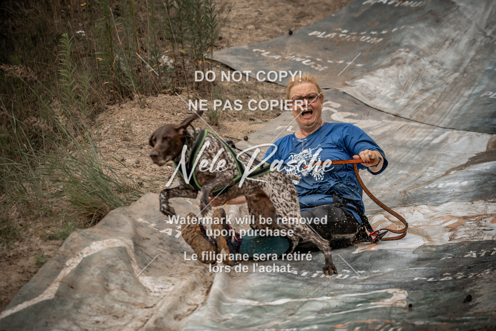 nelerasche_sa1000-1100_284 | nelerasche