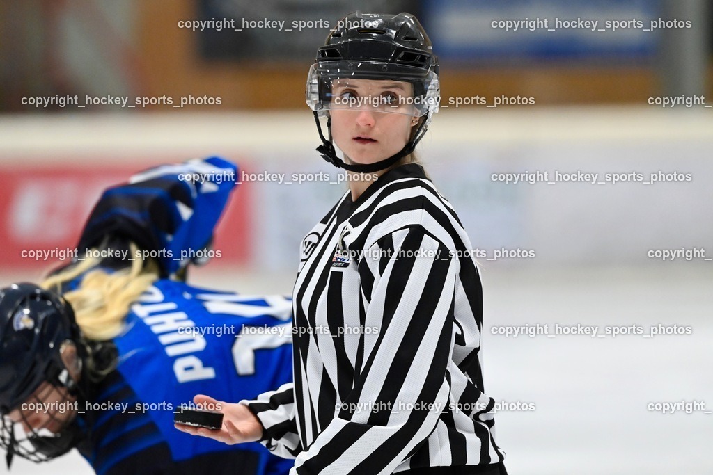 BST_3095 | hockey sports photos, Pressefotos, Sportfotos, hockey247, win 2day icehockeyleague, Handball Austria, Floorball Austria, ÖVV, Kärntner Eishockeyverband, KEHV, KFV, Kärntner Fussballverband, Österreichischer Volleyballverband, Alps Hockey League, ÖFB, 