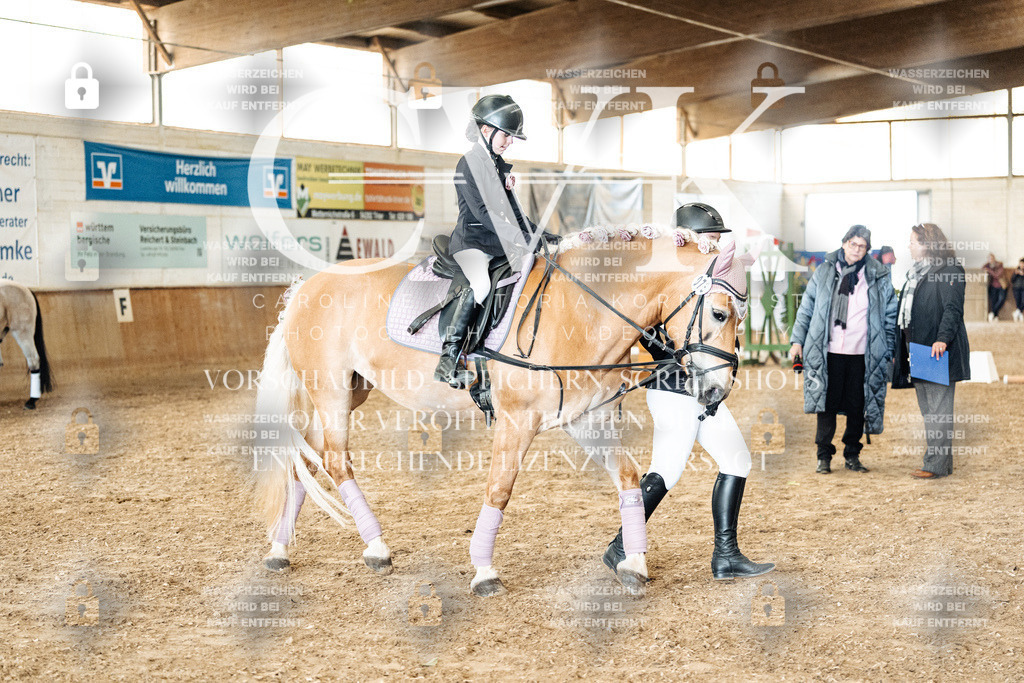 CK906112 | Turnierfotografie Pferdefotografie Trier Rheinland-Pfalz Pferdesport Reitsport Tierfotografie Sportfotografie Pferdevideo Pferdevideografie Equestrianvideography equestrianphotography  - Realisiert mit Pictrs.com