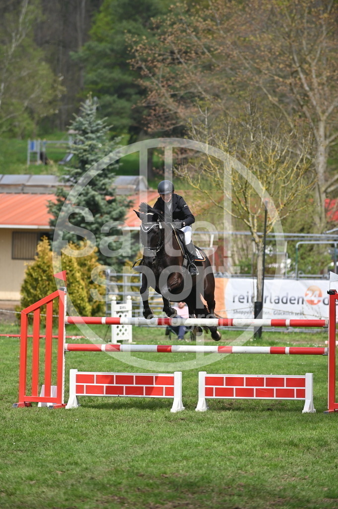 DSC_3968 | sattelsport - Realisiert mit Pictrs.com