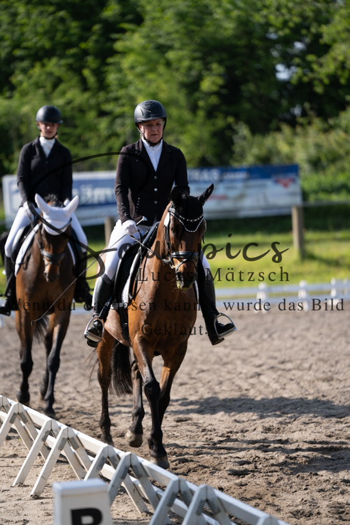 A7V02361 | Pferdefotograf