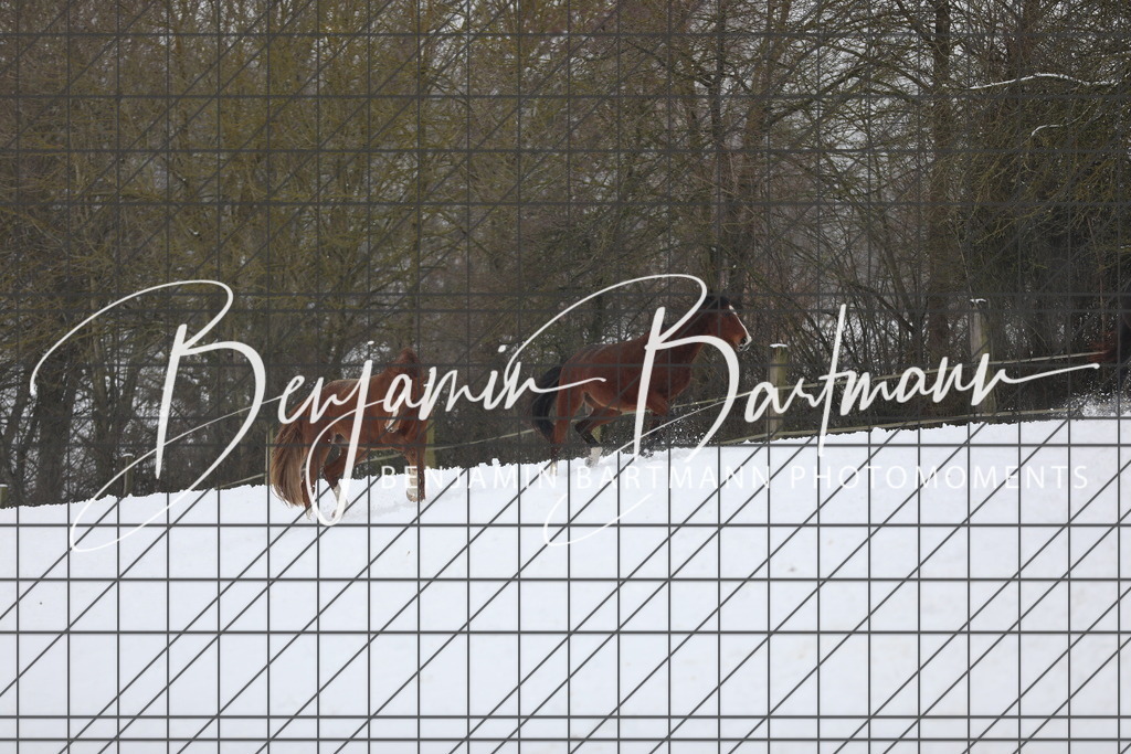 AZ2A3333 | Benjamin Bartmann Photomoments