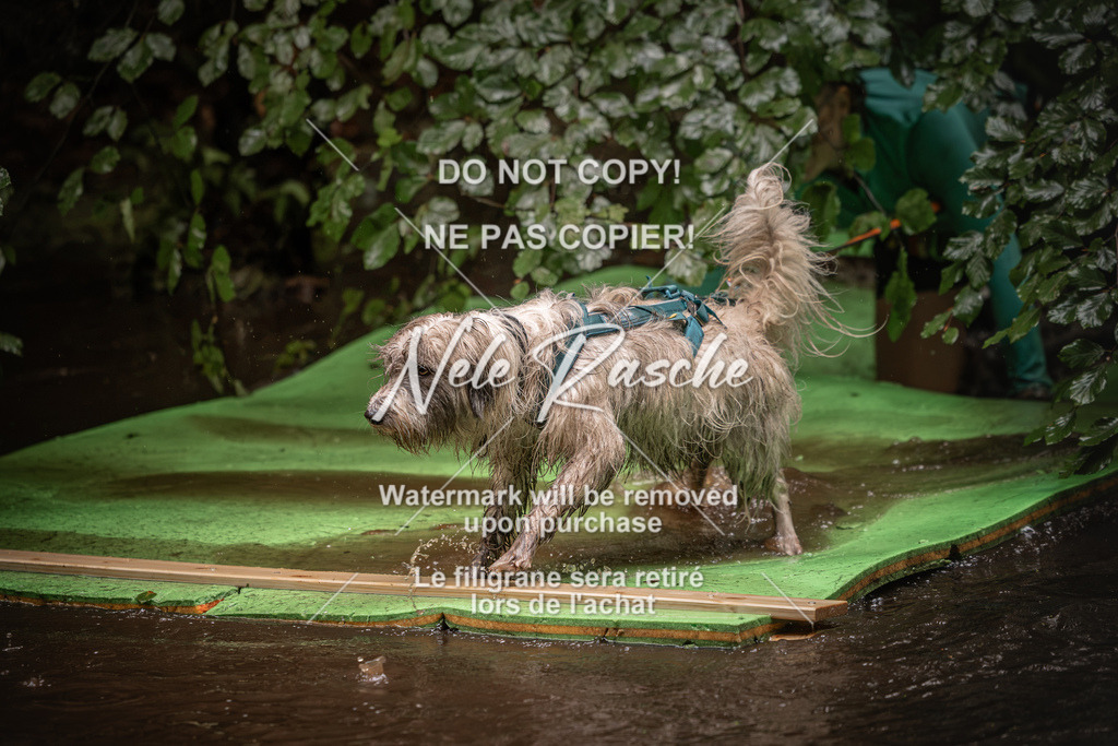 nelerasche_Wingst_Sa1330-1400_170 | nelerasche