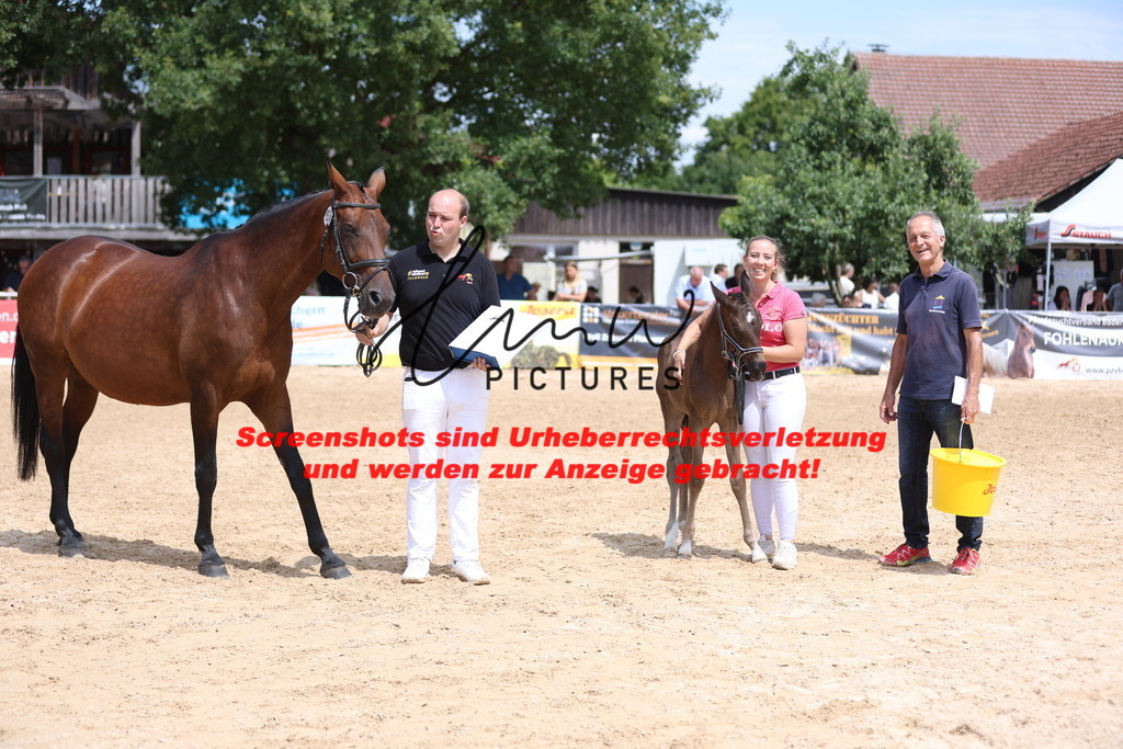 Fohlenschau_Schwäbisch_Hall_dressurbetonte_Fohlen_RESERVE SIEGER_KN 15_16 | lmwpictures - Realisiert mit Pictrs.com