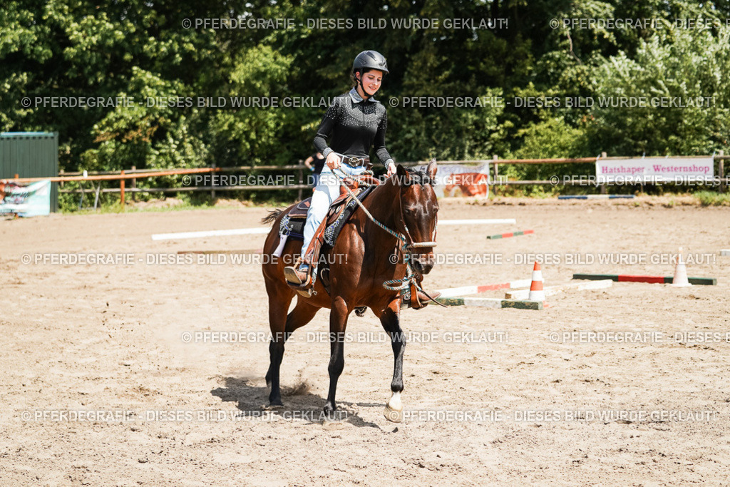 DSC07666 | Pferdegrafie