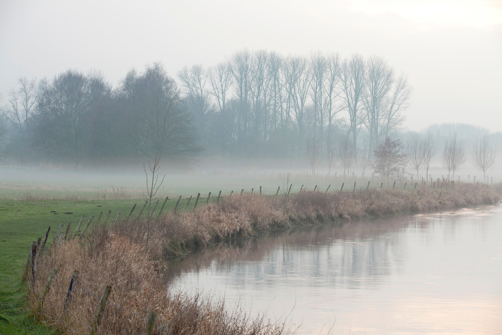 091228-046 | Europa, DEU, Deutschland, Nordrhein Westfalen, NRW, Rheinland, Niederrhein, Fluss, Die Niers, Aue, Flussaue, Abends, Daemmerung, Nebel, Dunst, Baeume, Pappeln, Winter, Kategorien und Themen, Natur, Umwelt, Landschaft, Jahreszeiten, Stimmungen, Landschaftsfotografie, Landschaften, Landschaftsphoto, Landschaftsphotographie, Naturschutz, Naturschutzgebiete, Landschaftsschutz, Biotop, Biotope, Landschaftsschutzgebiete, Landschaftsschutzgebiet, Oekologie, Oekologisch, Typisch, Landschaftstypisch, Landschaftspflege

[Fuer die Nutzung gelten die jeweils gueltigen Allgemeinen Liefer-und Geschaeftsbedingungen. Nutzung nur gegen Verwendungsmeldung und Nachweis. Download der AGB unter http://www.image-box.com oder werden auf Anfrage zugesendet. Freigabe ist vorher erforderlich. Jede Nutzung des Fotos ist honorarpflichtig gemaess derzeit gueltiger MFM Liste - Kontakt, Uwe Schmid-Fotografie, Duisburg, Tel. (+49).2065.677997, 
archiv@image-box.com, www.image-box.com] - Realisiert mit Pictrs.com