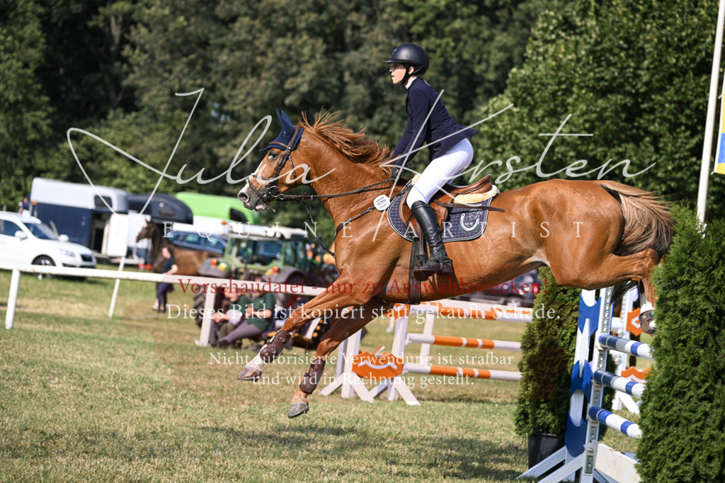 DSC_1216 | Pferde- und Turnierfotografie in Westsachsen. Pferdeportraits, Auftragszeichnungen und intuitive Kunst.