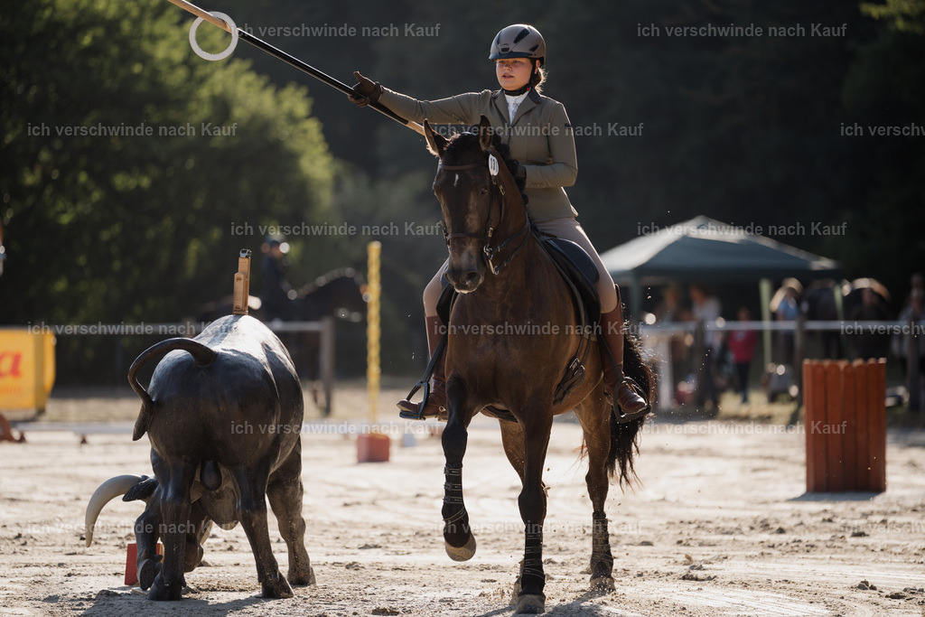 WM_ST_131_stoibphotography__SO10073 | working equitationturnier fotograf videograf stoibphotography marixx film working equitation deutschland reitsport turnierfotografie eventfotografie equestrian events