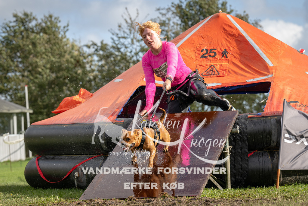 1421-94006 | kk-dogfotos