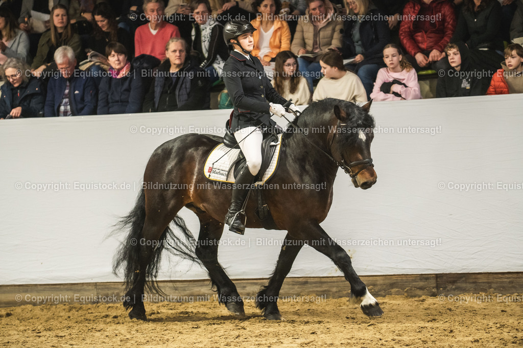 20240302_Hengstvorstellung_Marbach_TOMsPiC_0284-2 | equistock