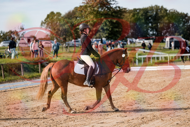 2026_10_03_Siefer-Hof_122018_Z63_42746530 | Professionelle Reitsport-, Turnier- und Eventfotografie von Robert Broda. Galerien mit ausgewählten und bearbeiteten Bildern direkt online ansehen und bestellen.