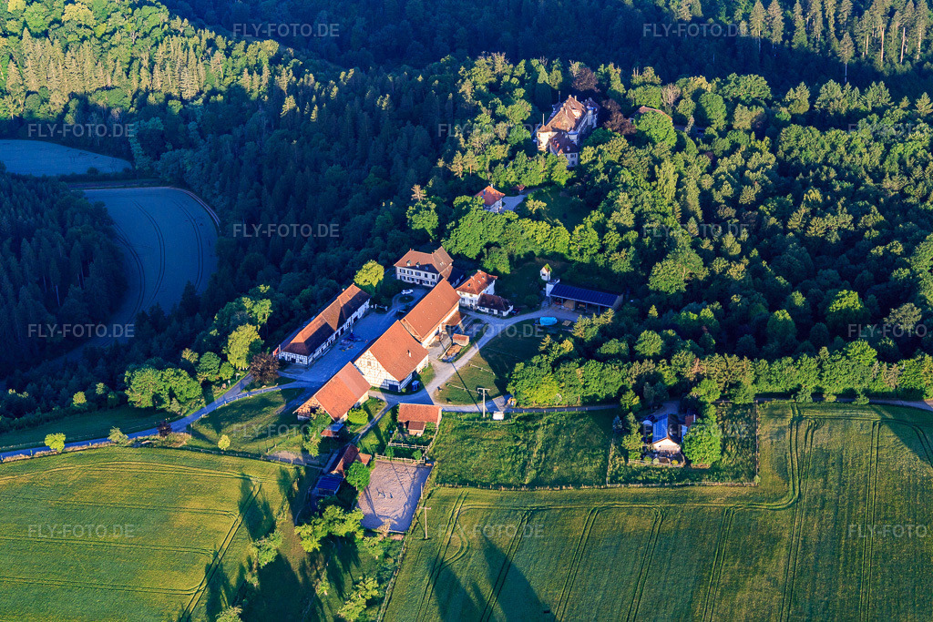 Luftbild: Schloss Hohenstein und Franz Graf von Bissingen in Dietingen im Bundesland Baden-Württemberg in Deutschland. Foto: IMG_148568.jpg vom 25.06.2025 durch Werner Riehm/FLY-FOTO.de