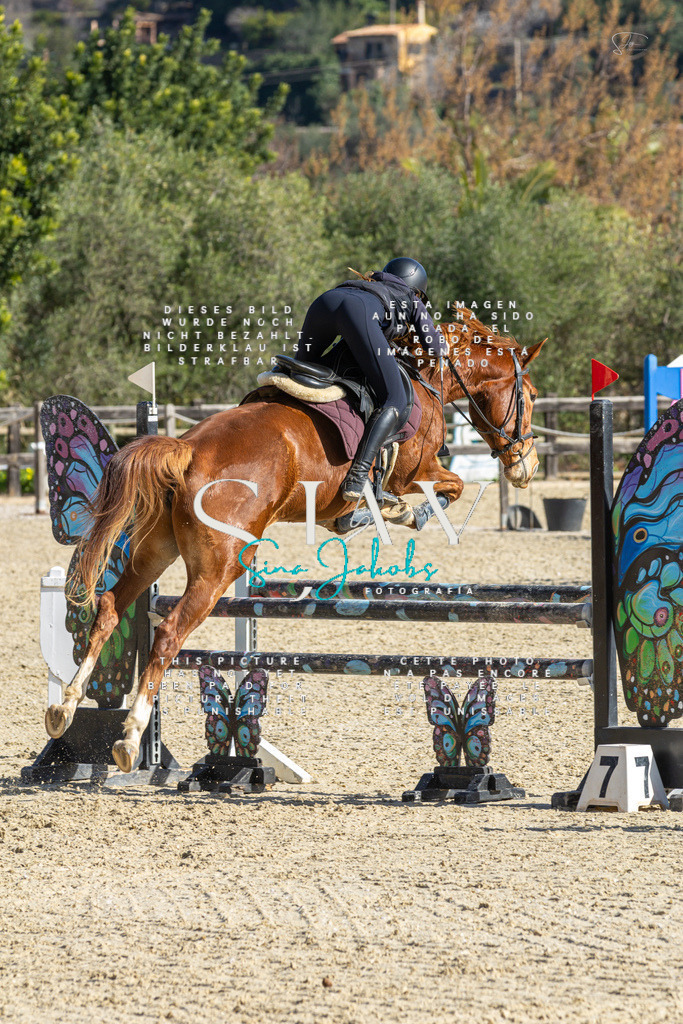 IMG_3941 | s-jay-photography - Realisiert mit Pictrs.com