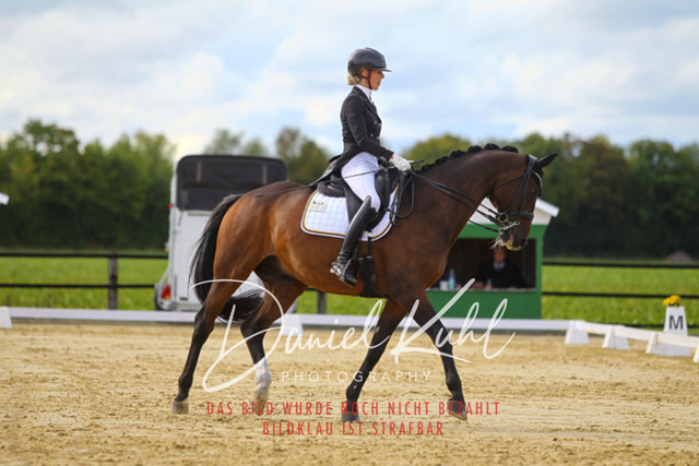 DKP44593 | Turniersportfotografie; Pferdefotografie; Dressurfotografie