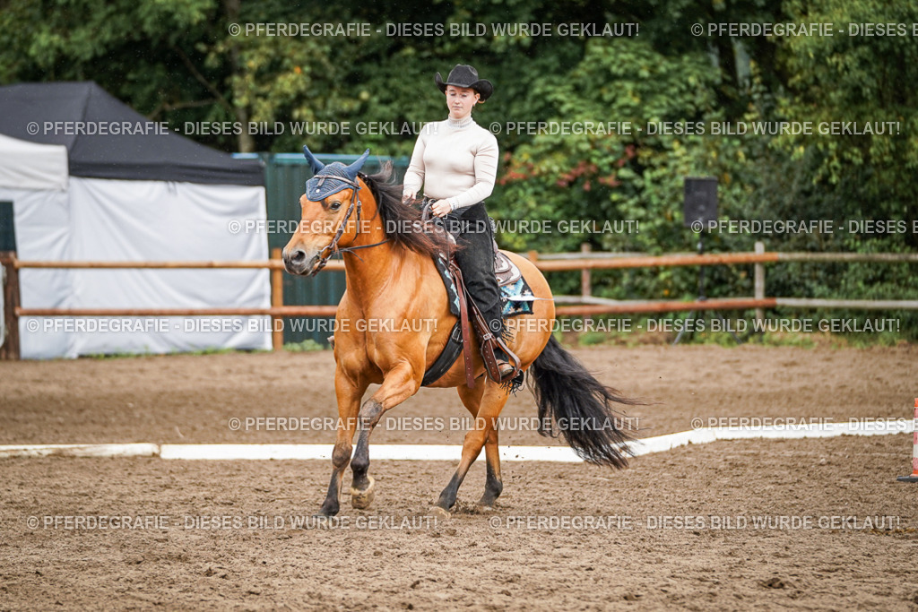 DSC04491 | Pferdegrafie