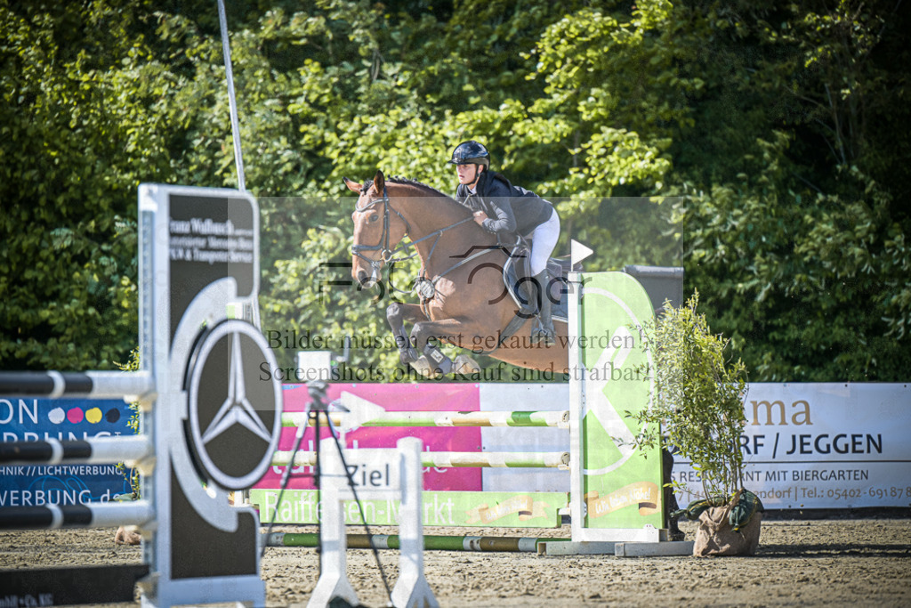 DOS_9214 | Entdecke hochwertige Reitturnierfotos von Foto Oger. Professionell, emotional und authentisch – jetzt Lieblingsmomente im Shop bestellen.Deutschlandweite Turnierfotografie. - Realisiert mit Pictrs.com