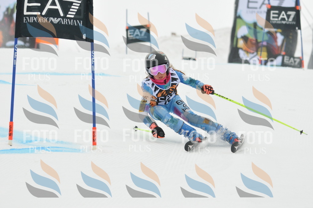 DSC_7438 | holidayphoto