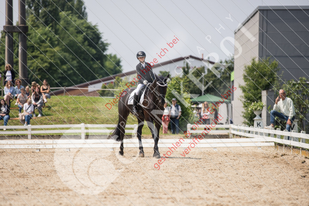 IMG_3890 | Sport-, Event- und Tierfotos in Profiqualität. Einfach auswählen, bestellen und herunterladen. Dein Moment – perfekt festgehalten.