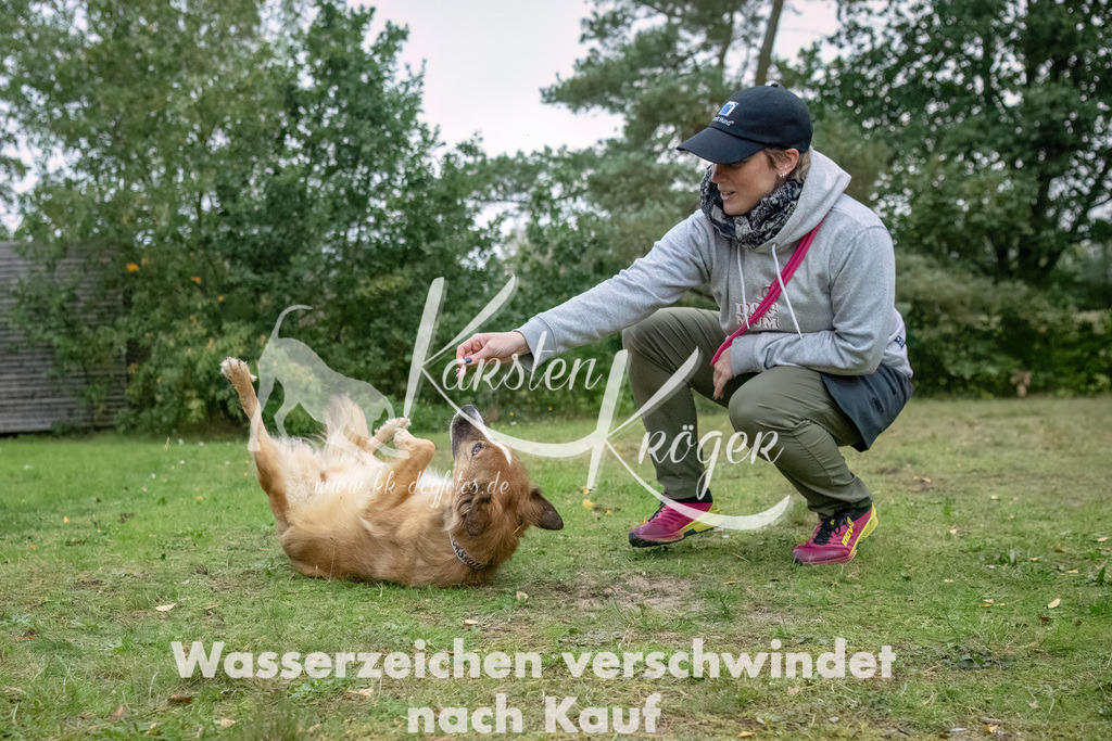 1713_ZZ91170-3-Bearbeitet | kk-dogfotos