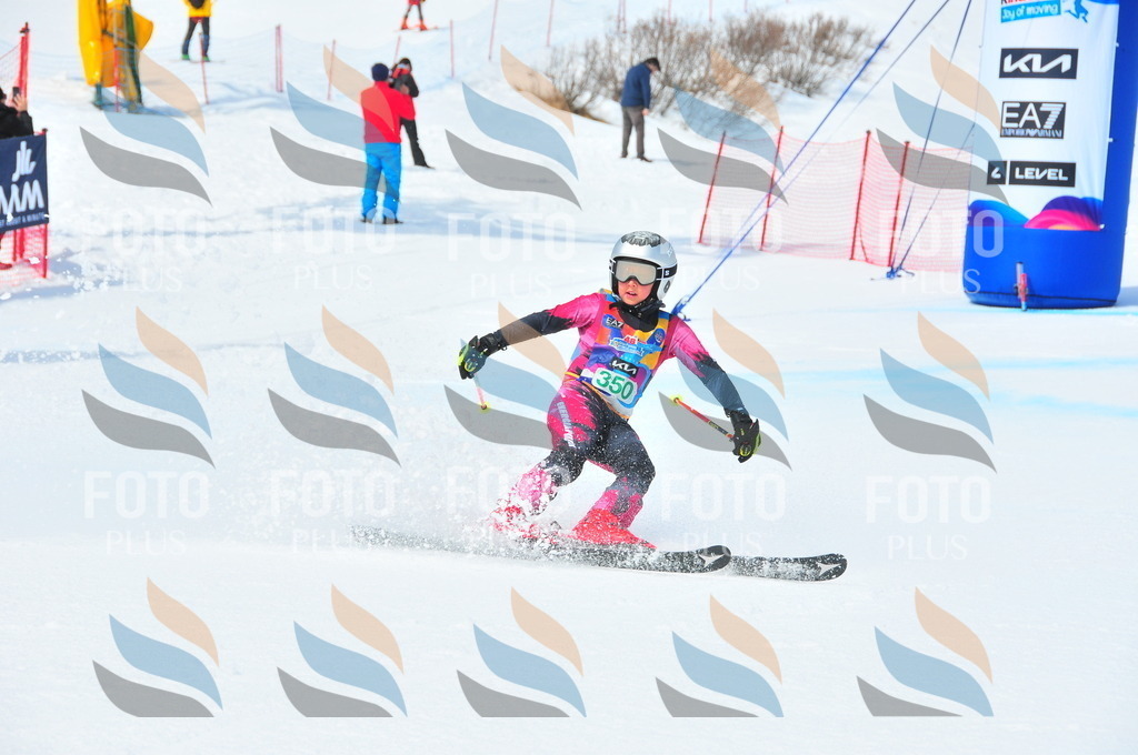 DSC_3147 | holidayphoto