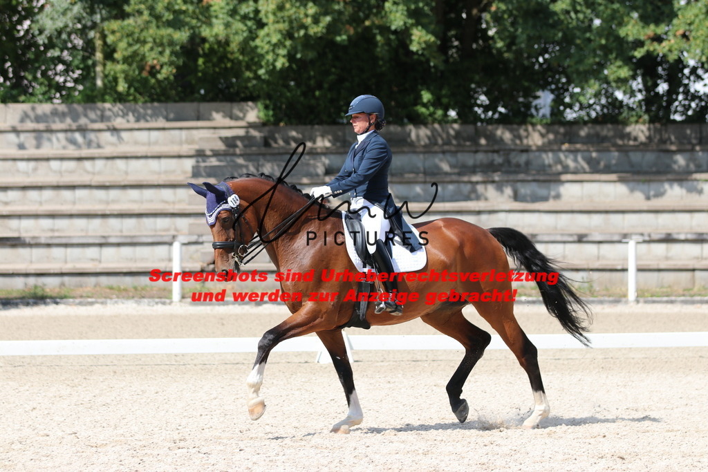 IMG_9512 | lmwpictures - Realisiert mit Pictrs.com