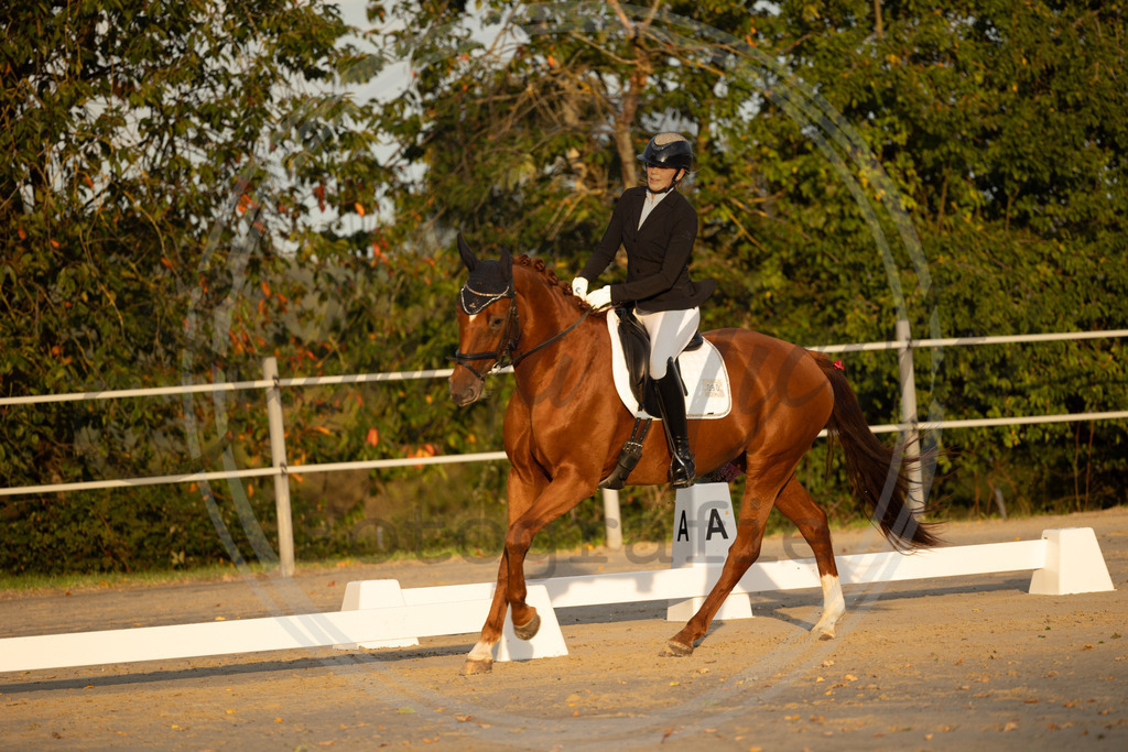 994A9940 | sabrinanicolaifotografie - Realisiert mit Pictrs.com