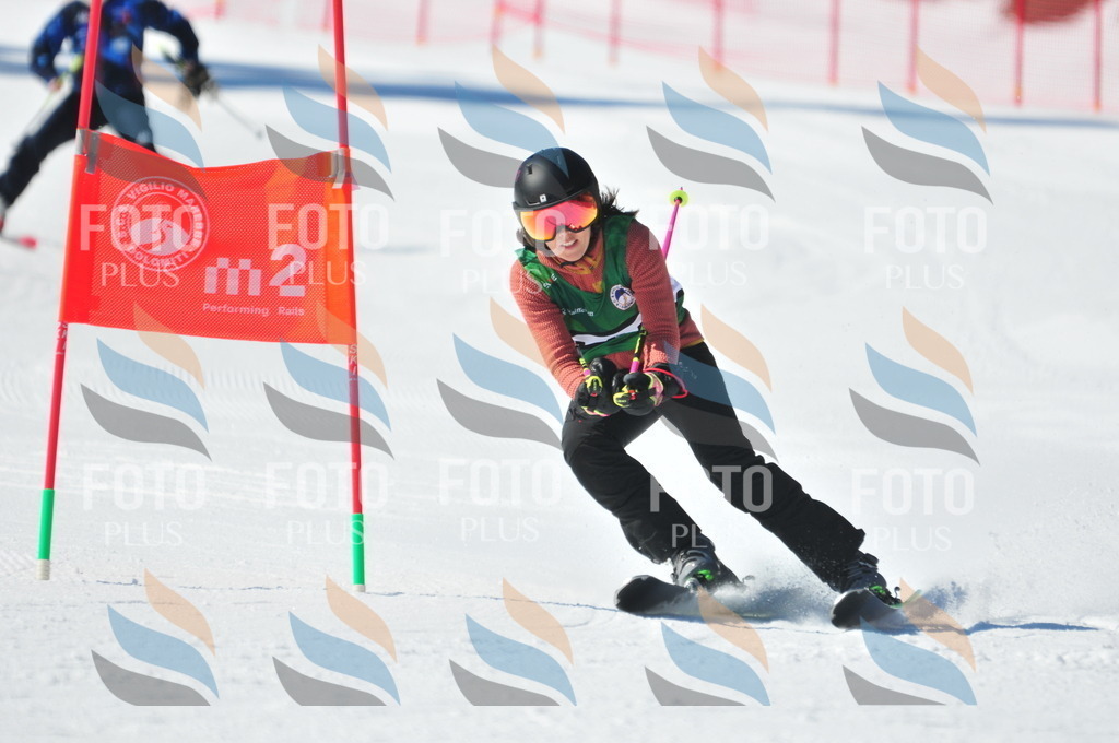 C3987 | holidayphoto