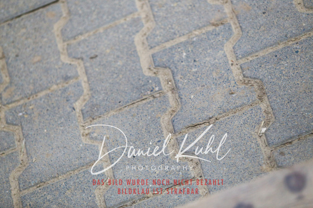 IMG_2610 | Turnierfotos kaufen im Webshop von Daniel Kuhl Photography – entdecke professionelle Reitsportfotos aus Turnieren & Events. Hochwertige Turnierbilder online bestellen & sichern. Jetzt Fotos von Reitsportturnieren kaufen!