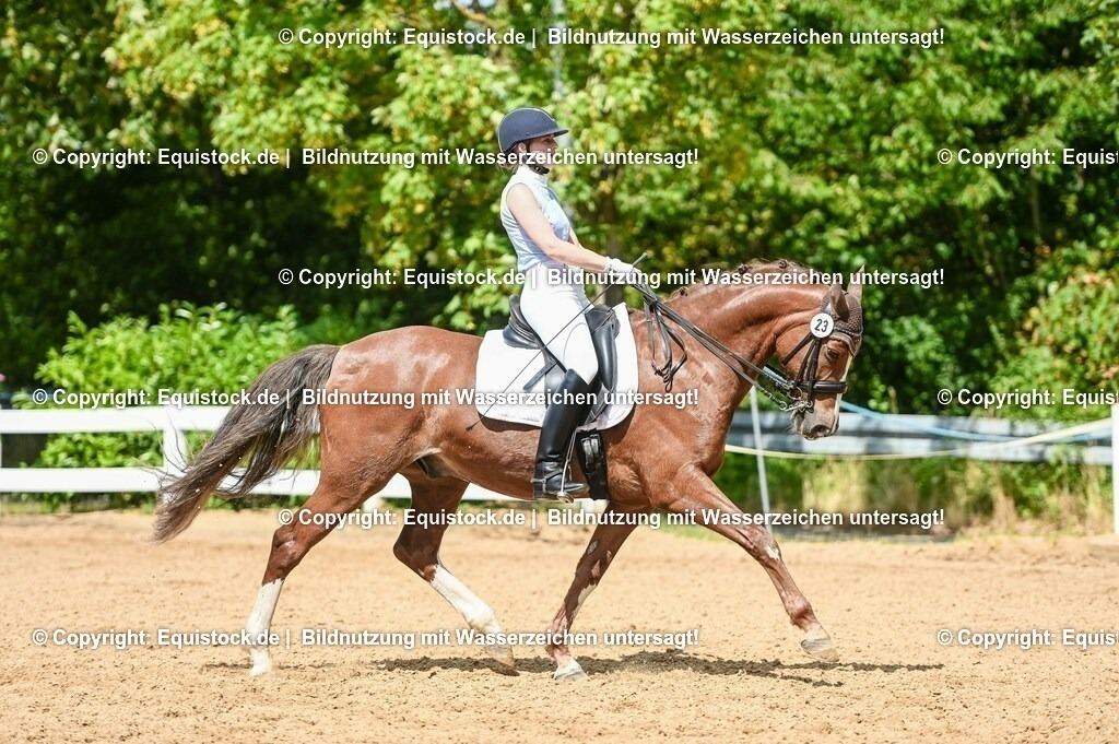 20230716_01_Dressurprüfung Kl.M_0267 | equistock