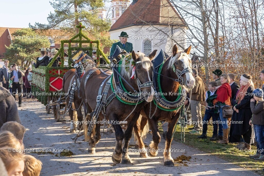 LBT25-1020 | foto-bettina-krinner - Realisiert mit Pictrs.com