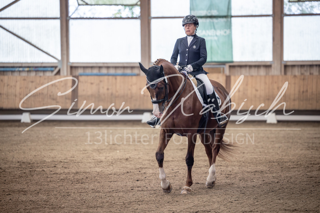 20251011-_3LI1003 | Tierfotografie Pferde, Hunde, Katzen, Haustiere.
Turnierfotografie Reitturniere, Reiten, Springreiten, Dressur in Hanau, dem Main-Kinzig-Kreis und dem Rhein-Main- Gebiet um Frankfurt
