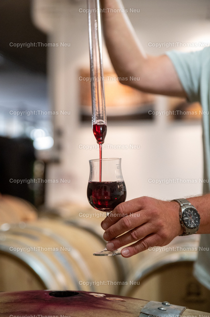 DSC_6261 | bss, Bensheim, Winzerfestbeilage 2022, , Hanno Rothweiler,  ,, Bild: Thomas Neu