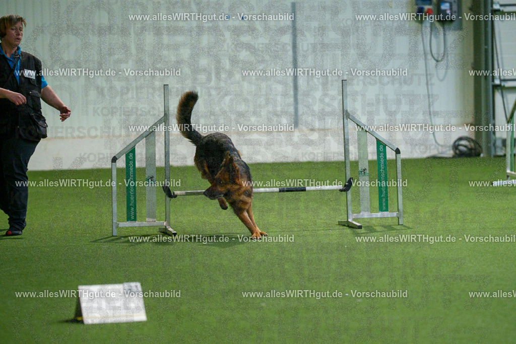 7R508004 | Professionelle Tierfotografie in Mönchengladbach von Daniel Wirth (allesWIRTHgut). Liebevolle & natürliche Bilder von Hunden & Katzen für unvergessliche Erinnerungen.