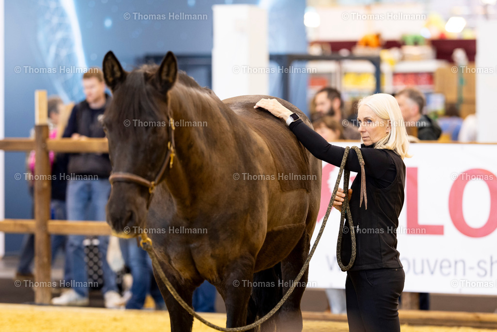 TH_Ausstellung_26474 | EQUITANA 2025 am 06.03.25 in Essen