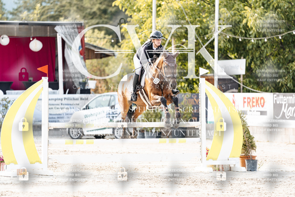 CK906775 | Turnierfotografie Pferdefotografie Trier Rheinland-Pfalz Pferdesport Reitsport Tierfotografie Sportfotografie Pferdevideo Pferdevideografie Equestrianvideography equestrianphotography  - Realisiert mit Pictrs.com