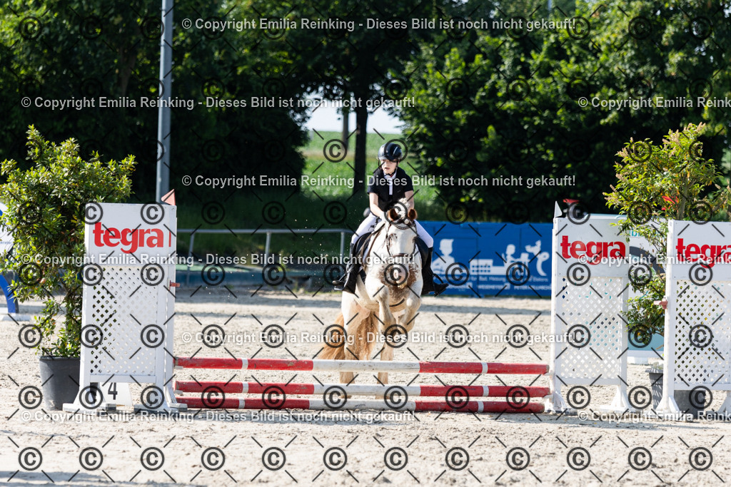 CL5A1187 | Emilia Reinking Fotografie - Realisiert mit Pictrs.com