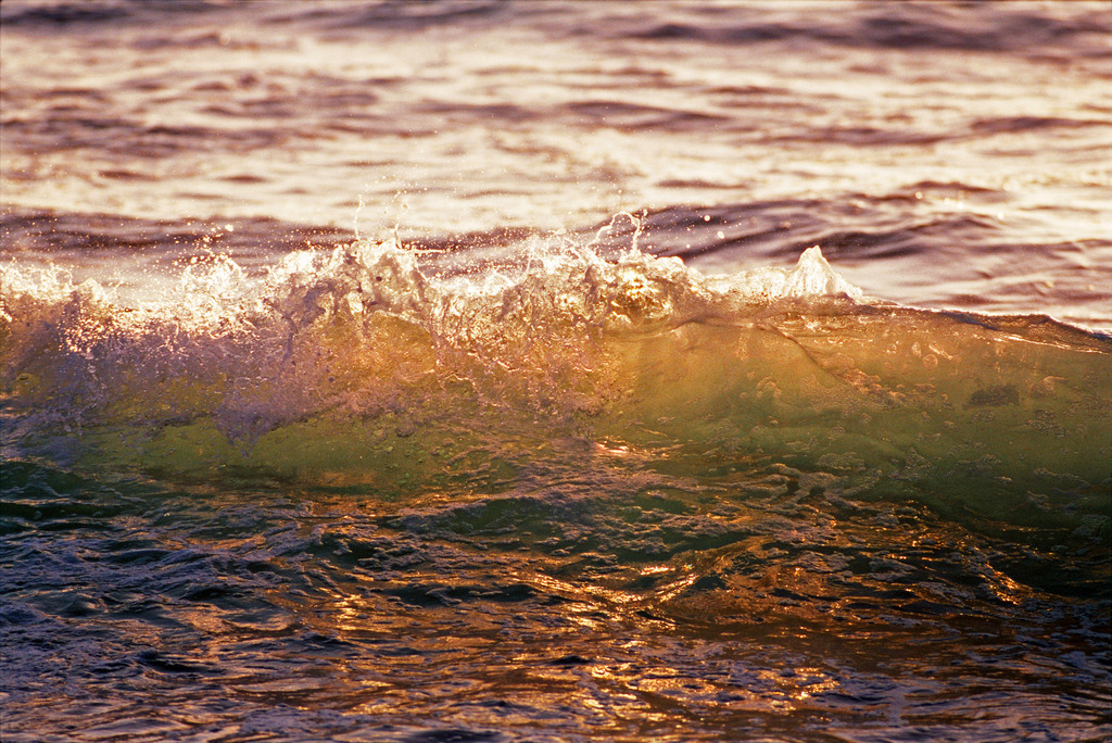 Ocean-Welle_00552a | sanftze Welle im Meer, Aguilaplaya,San Agustin, Gran Canaria im Abendlicht.