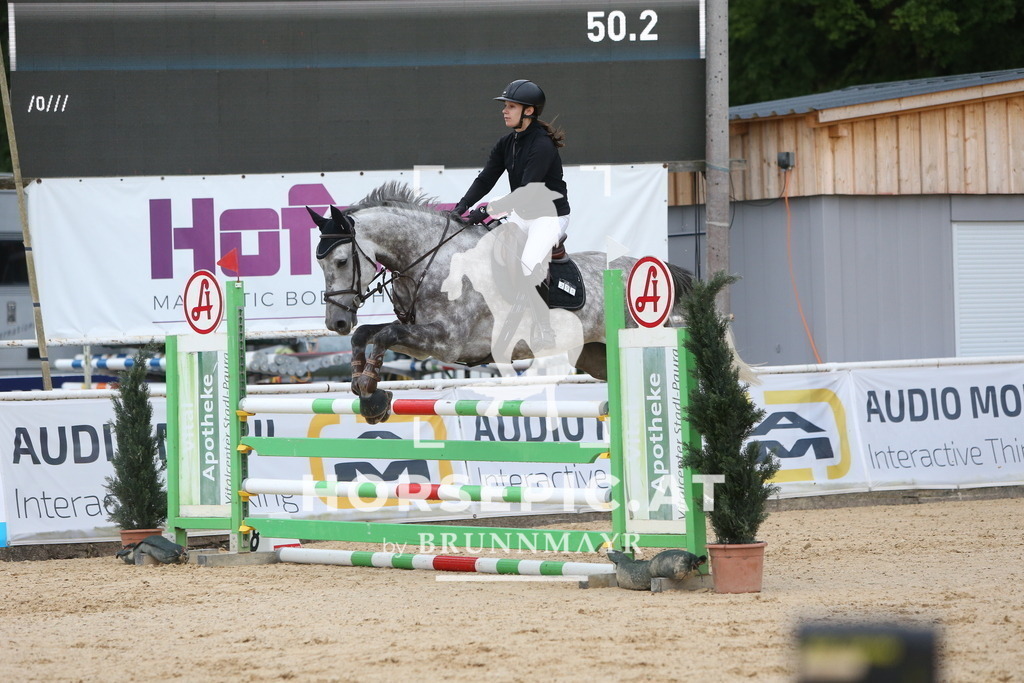 DL2Q4076 | Willkommen bei Brunnmayr - Design & Fotografie – Ihrem Spezialisten für Reitturniere und Pferdeveranstaltungen in Oberösterreich, Salzburg und Bayern! Seit über 17 Jahren sind wir leidenschaftlich dabei.