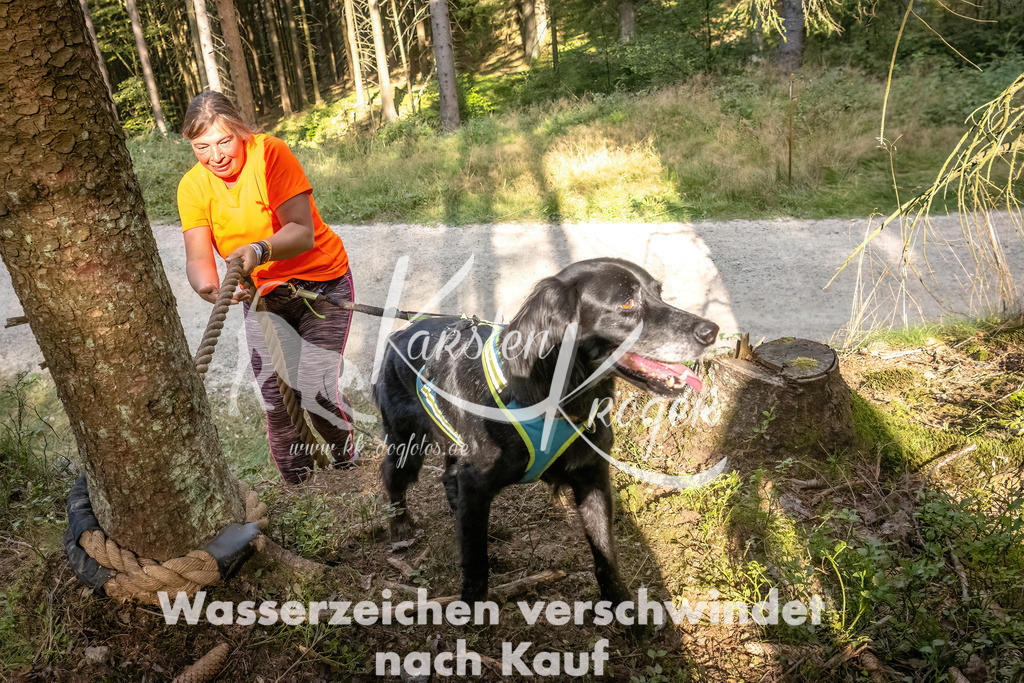 1039_ZZ92142 | kk-dogfotos