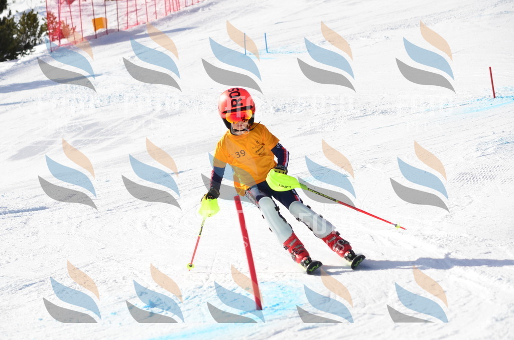 C6519 | holidayphoto