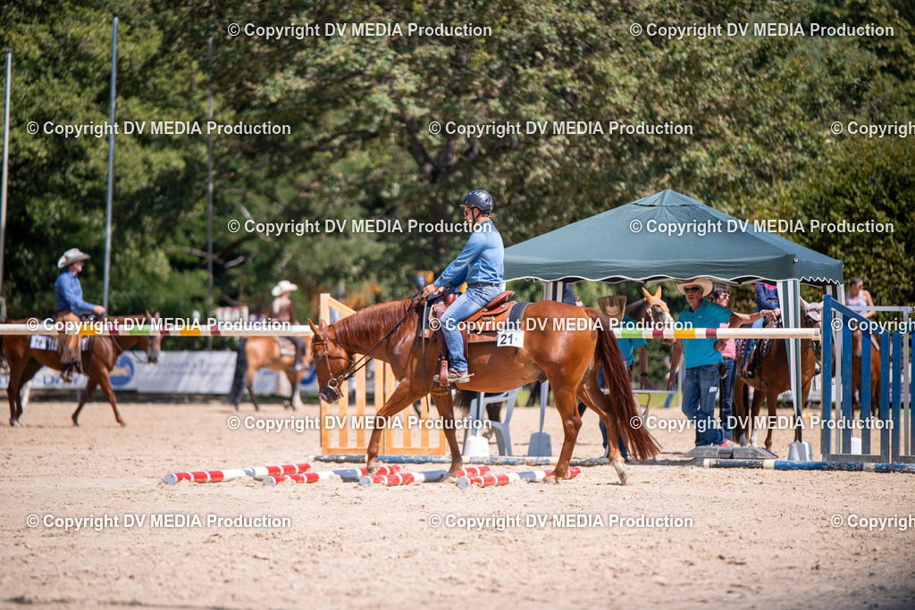 ZS1_1245 | dv-media-shop - Realisiert mit Pictrs.com