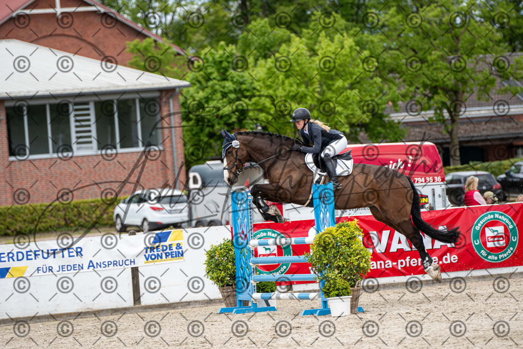 KPT_5776 | andre_photographic