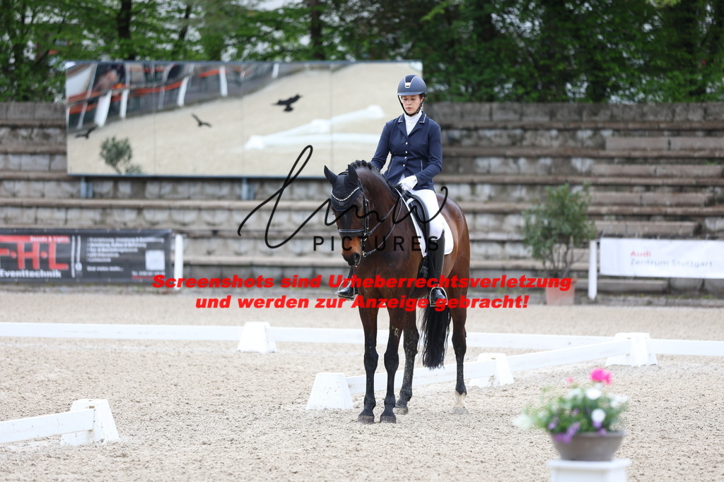 A40A0767 | lmwpictures - Realisiert mit Pictrs.com