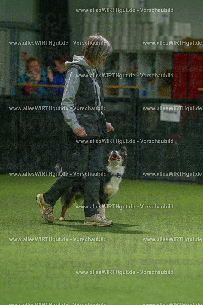 7R509008 | Professionelle Tierfotografie in Mönchengladbach von Daniel Wirth (allesWIRTHgut). Liebevolle & natürliche Bilder von Hunden & Katzen für unvergessliche Erinnerungen.