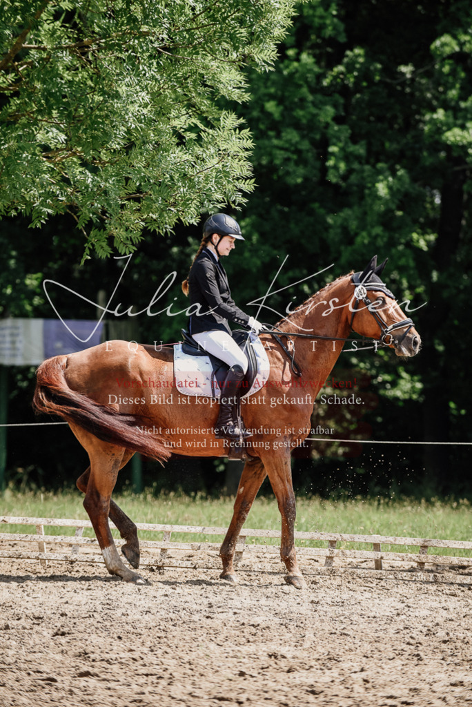 DSC_1348 | Pferde- und Turnierfotografie in Westsachsen. Pferdeportraits, Auftragszeichnungen und intuitive Kunst.