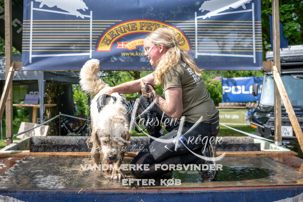 1058_ZZ92264 | kk-dogfotos