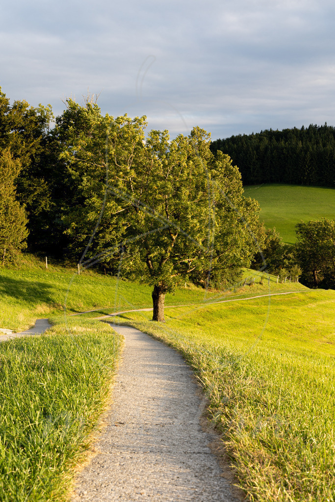 Blassenstein Wanderweg | Ihre Fotografin im Lungau, ihre Fotografin im Mostviertel, Wandbilder Onlineshop, Imagefotos für Ihr Unternehmen,  - Realisiert mit Pictrs.com