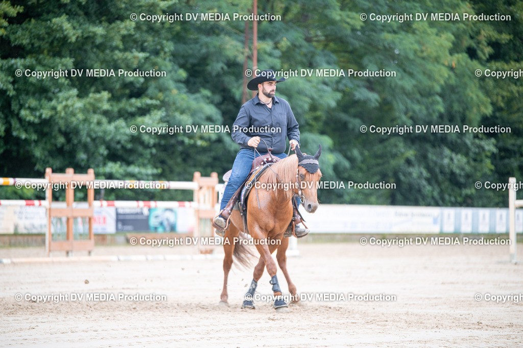 ZS3_5169 | dv-media-shop - Realisiert mit Pictrs.com