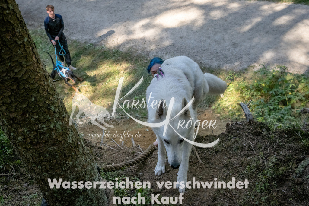 1223_ZZ94264 | kk-dogfotos